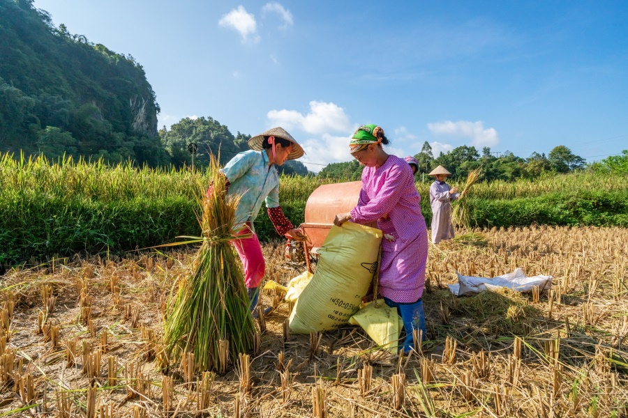 cao bang vietnam - habitant