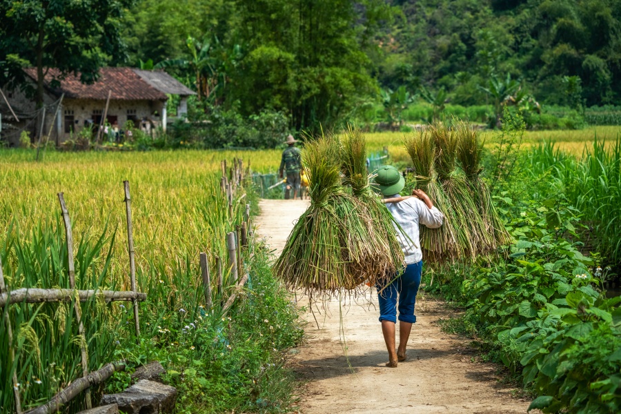 cao bang vietnam - habitant 2