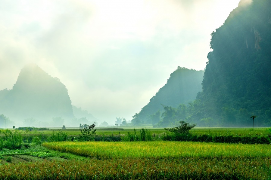 cao bang vietnam - rizières