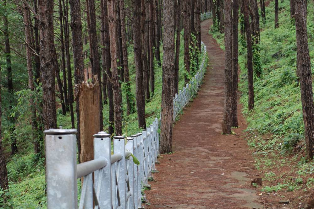 lac t'nung bien ho pleiku pins