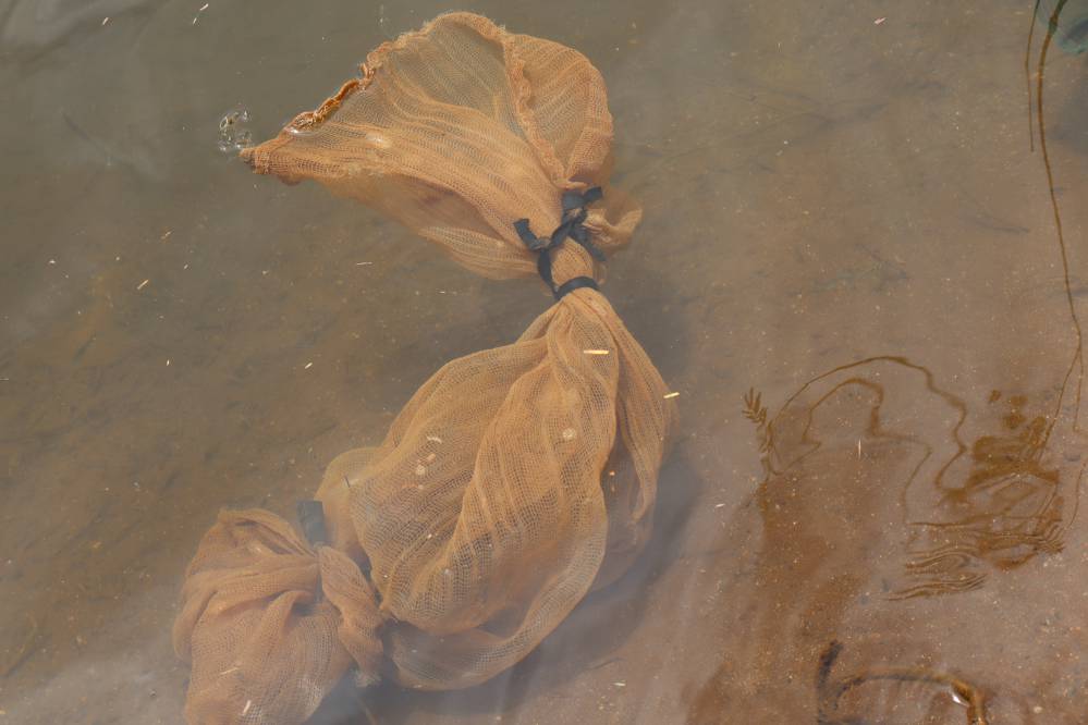 lac t'nung bien ho pleiku peche