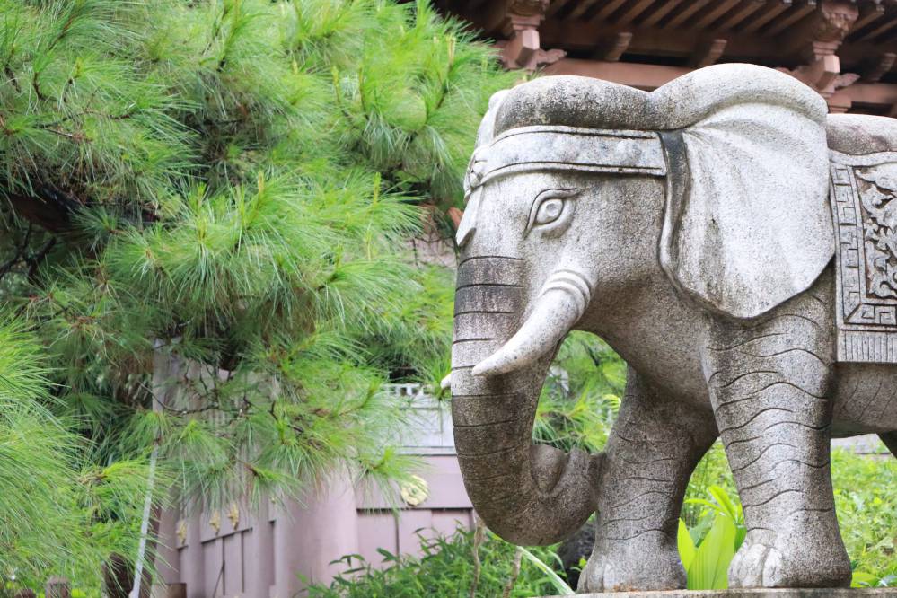 pagode de minh thanh - statue elephant