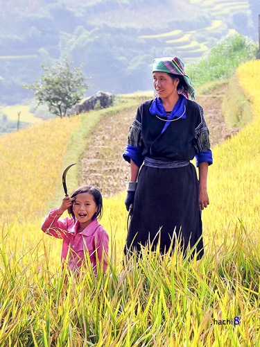 Ils devraient aider la famille depuis le petit âge