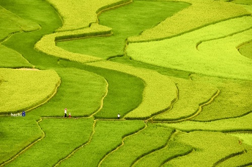 La perspective automnale de la région montagneuse est colorée et fraiche