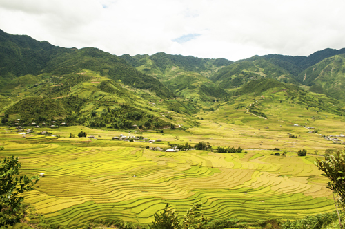 La vallée Lim Mong à la base du col Khau Pha