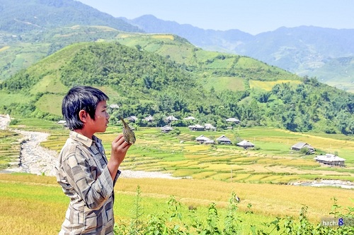 Leur activités s’attachent toujours à la nature vaste et pure.