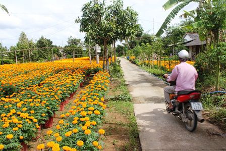 quand partir au vietnam 1