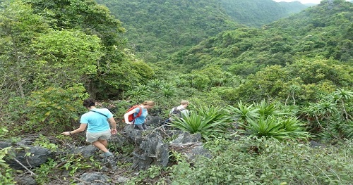 Randonnée dans le parc national de Cat Ba sur l’île de Cat Ba Vietnam