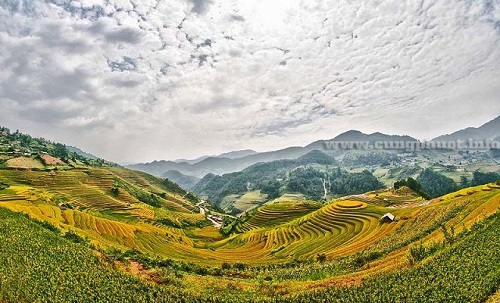 Les rizières en terrasse à La Pan Tan, Mu Cang Chai