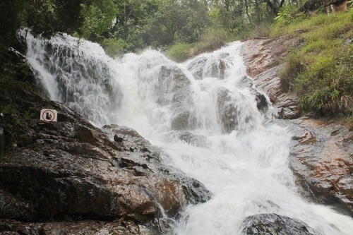 La cascade au sein de la forêt épaisse