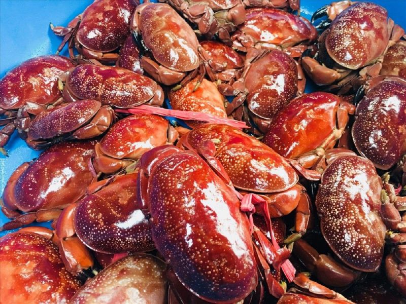 crabe cu ky