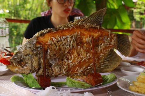 cuisine de mekong