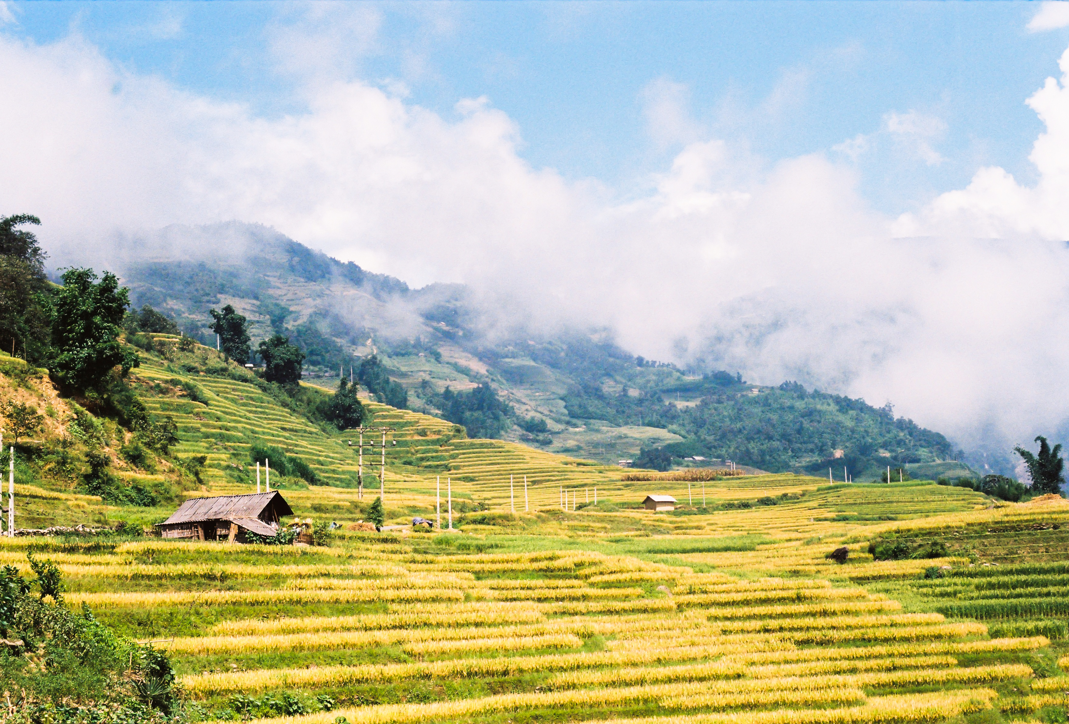 Écotourisme - la tendance du tourisme à développer au Vietnam