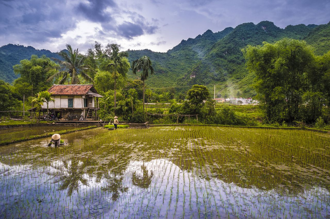 Écotourisme - la tendance du tourisme à développer au Vietnam