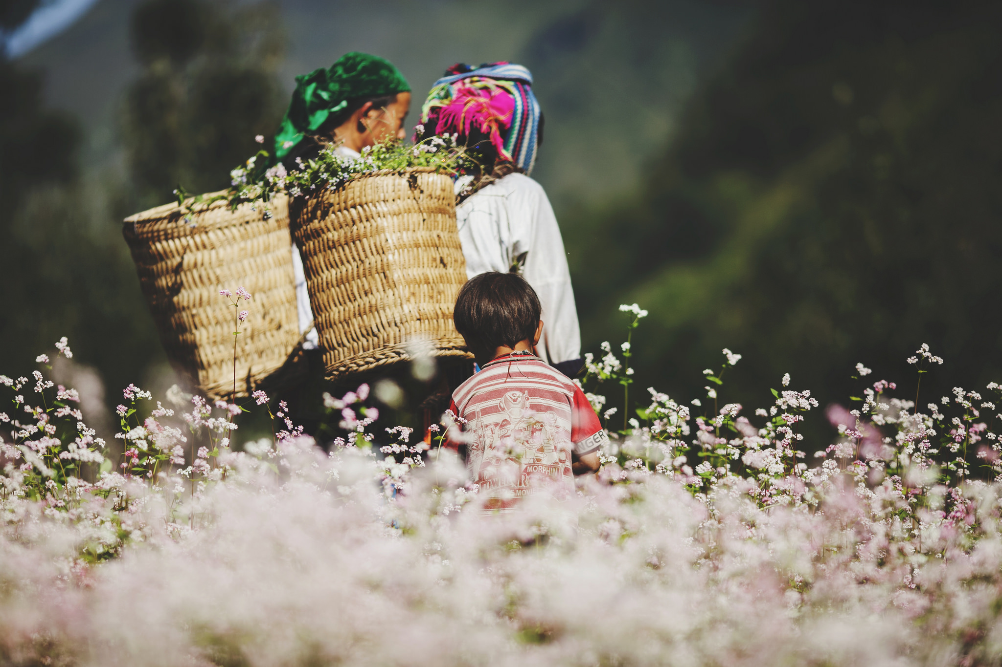 Écotourisme - la tendance du tourisme à développer au Vietnam