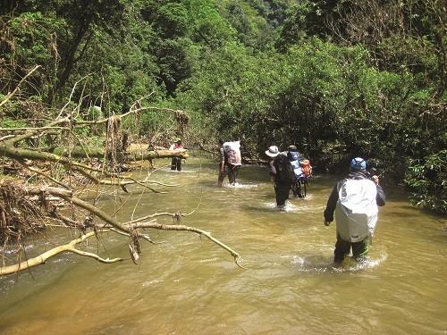 Écotourisme - la tendance du tourisme à développer au Vietnam