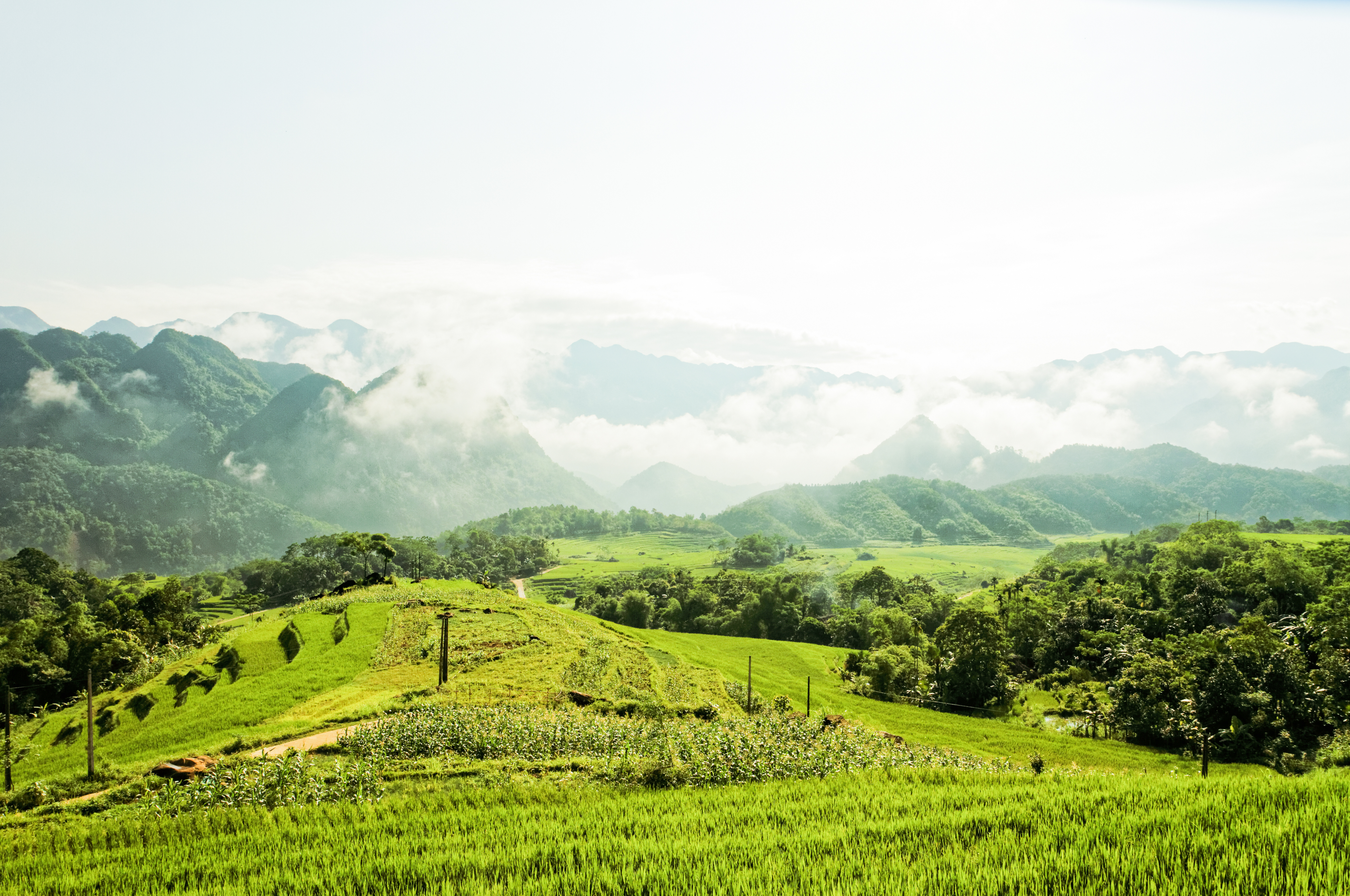 Écotourisme - la tendance du tourisme à développer au Vietnam