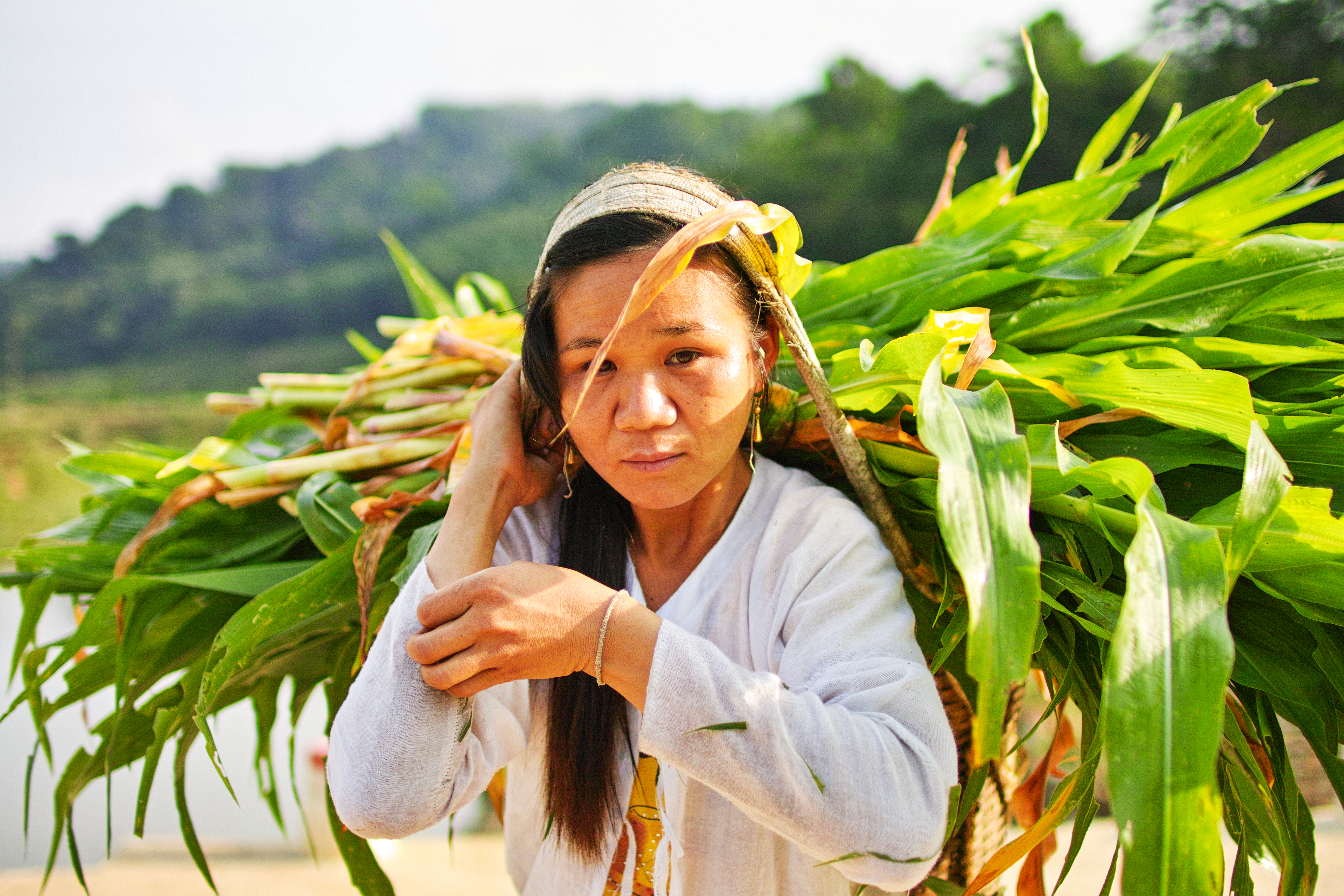 Écotourisme - la tendance du tourisme à développer au Vietnam