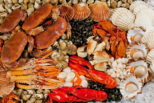 Fruits de mer dans la baie d'halong