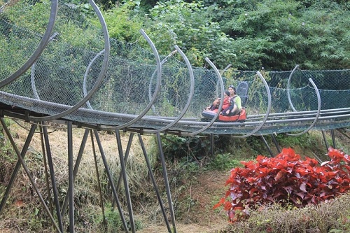 Glisser en visitant la forêt