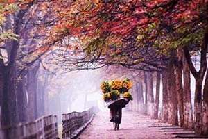 hanoi en automne