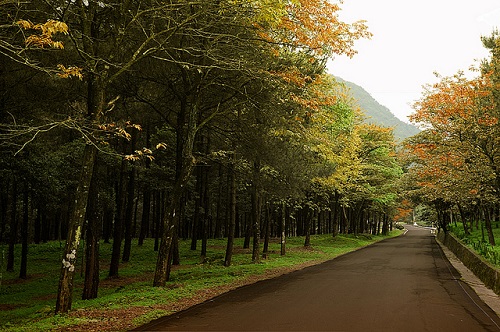 Le parc national Ba Vi