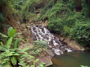 Le parc national de Ba Vi