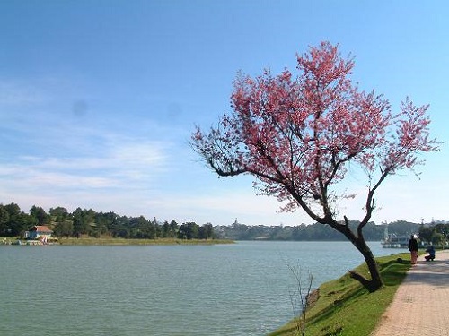 Le lac de Xuan Huong à Da Lat