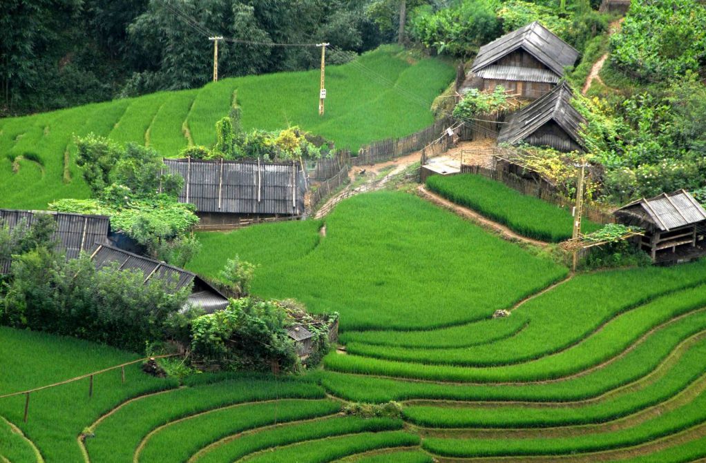 mai chau riziere
