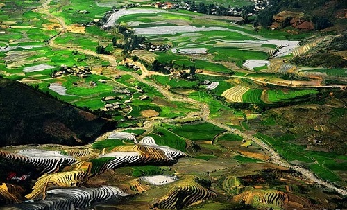 Mu Cang Chai en saison de culture