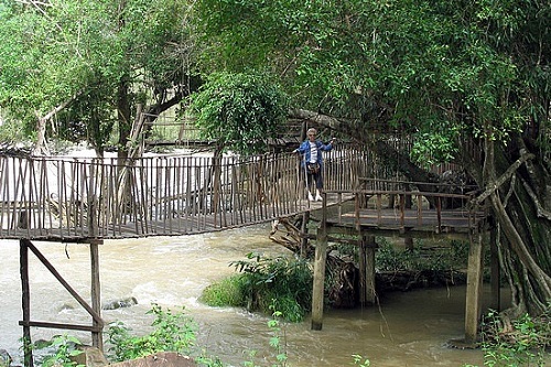 Randonnée au parc national de Yok Don