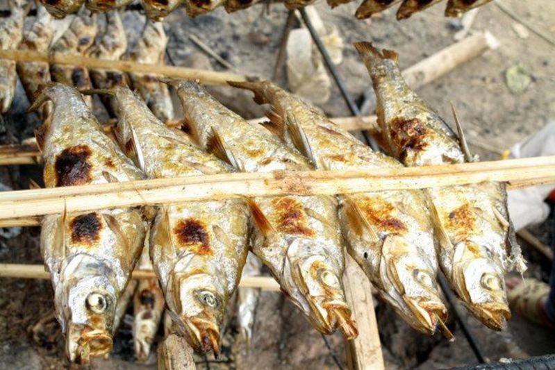poisson grille mai chau