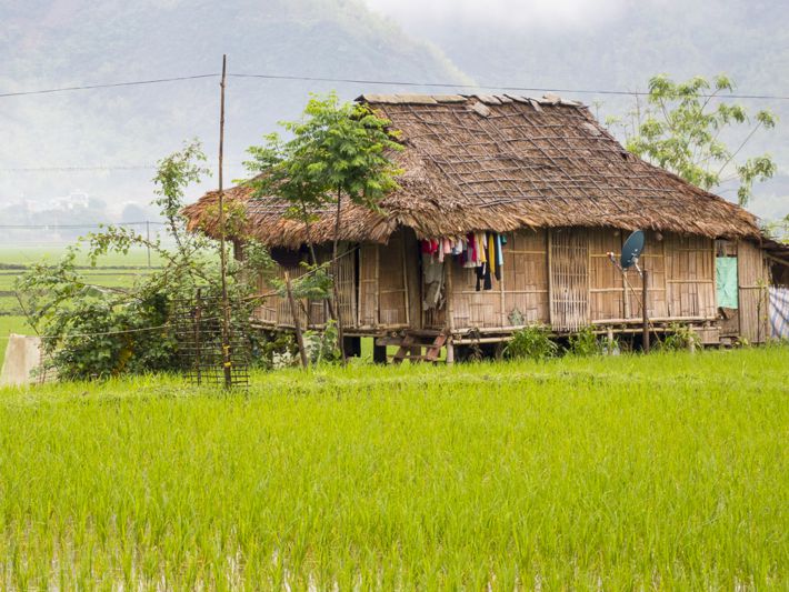 poom coong mai chau