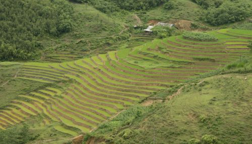 village lao chai à sapa - agence de voyage locale far east tour